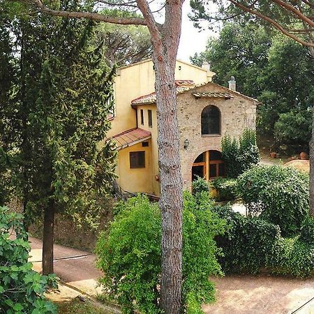 Stunning Country House Overlooking Tuscany Hills Lorenzana Ngoại thất bức ảnh