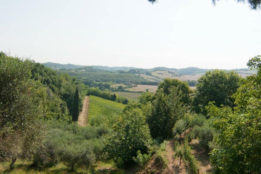 Stunning Country House Overlooking Tuscany Hills Lorenzana Ngoại thất bức ảnh